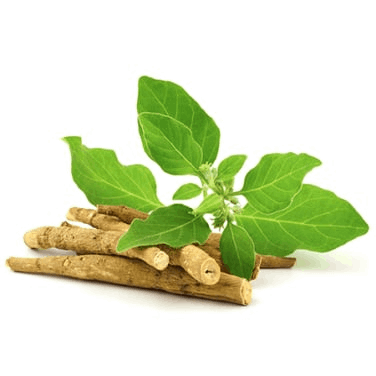 Ingredients In Men's Growth